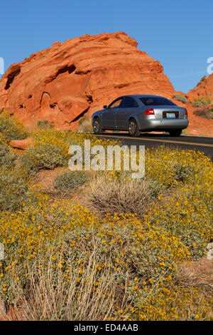 La strada attraverso la Valle del Fuoco State Park, vicino a Las Vegas, Nevada. Foto Stock