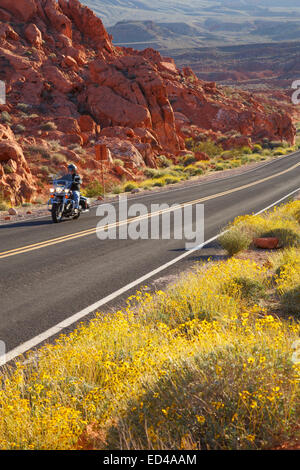 La strada attraverso la Valle del Fuoco State Park, vicino a Las Vegas, Nevada. Foto Stock