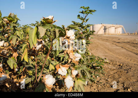 Un fracking sito nelle vicinanze di Bakersfield, California, Stati Uniti d'America. Foto Stock