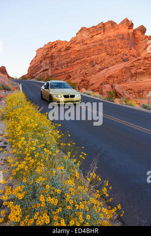 La strada attraverso la Valle del Fuoco State Park, vicino a Las Vegas, Nevada. Foto Stock