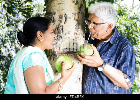 Indian vecchia coppia park godere di bere il cocco Foto Stock