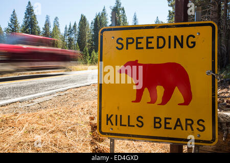 Un giallo Spped uccide porta segno nel Parco Nazionale di Yosemite, ogni segno segna un punto in cui un orso è stato ucciso da traffico, California, USA. Foto Stock