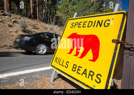 Un giallo Spped uccide porta segno nel Parco Nazionale di Yosemite, ogni segno segna un punto in cui un orso è stato ucciso da traffico, California, USA. Foto Stock