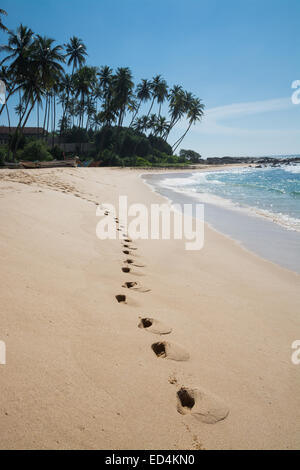 Impronte sulla Paradise beach con palme da cocco e sabbia bianca, Tangalle, sud della provincia, Sri Lanka, in Asia. Foto Stock