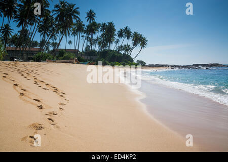 Paradise beach con palme da cocco e di impronte in sabbia dorata, Amanwella resort, Tangalle, sud della provincia, Sri Lanka, in Asia. Foto Stock