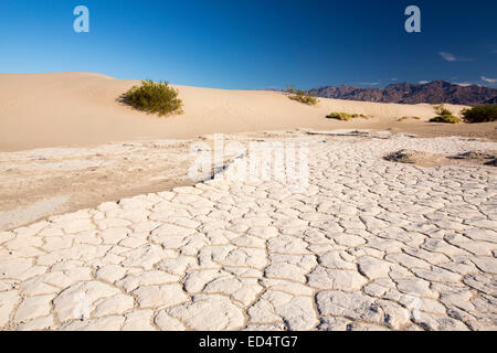 Il Mesquite flat dune di sabbia nella Valle della Morte che è il più basso, caldi, arido posto negli USA, con una piovosità media annuale di circa 2 pollici, alcuni anni non riceve alcuna pioggia a tutti. Foto Stock