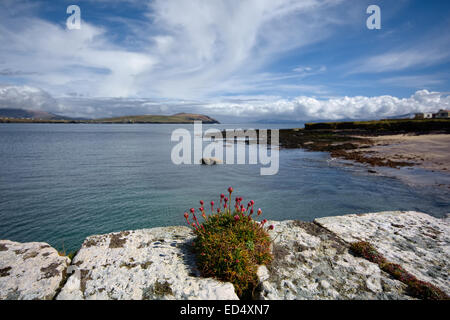 Kilfarnoge sulla penisola di Kerry, Irlanda Foto Stock