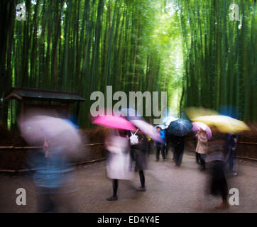 Immagine artistica di un giorno di pioggia nei boschetti di bamboo di Arashiyama, Kyoto, Giappone. Foto Stock