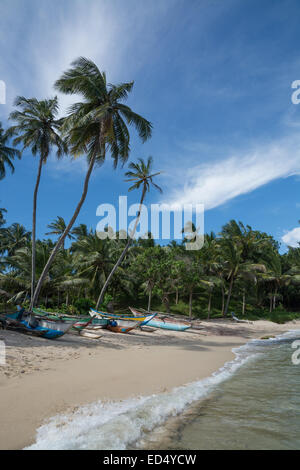 Il governo dello Sri Lanka barche di pescatori sulla spiaggia di sabbia con palme di cocco. Rocky Point, Tangalle, sud della provincia, Sri Lanka, in Asia. Foto Stock