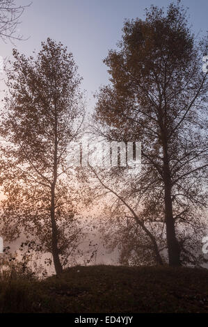 Bellissimo tramonto sul lago, foggy Foto Stock