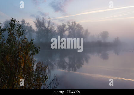 Bellissimo tramonto sul lago, foggy Foto Stock