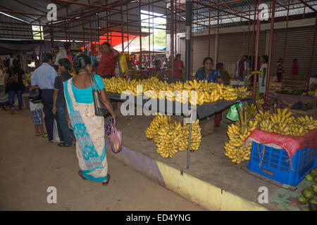 Banana di fornitori e acquirenti sul mercato in dicembre 17, 2014 in Tangalle, sud della provincia, Sri Lanka, in Asia. Foto Stock