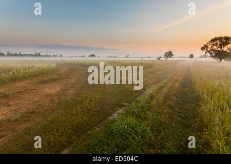 Bellissimo tramonto sul lago, foggy Foto Stock