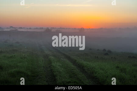 Bellissimo tramonto sul lago, foggy Foto Stock