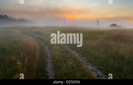 Bellissimo tramonto sul lago, foggy Foto Stock