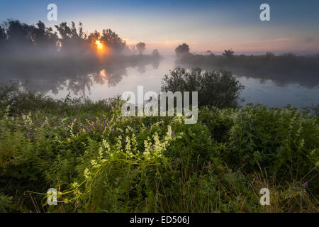 Bellissimo tramonto sul lago, foggy Foto Stock