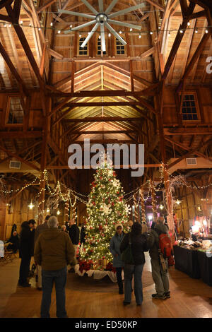 Old Bethpage, New York, Stati Uniti d'America. Il 26 dicembre, 2014. Un grande e tradizionale 1866 Albero di Natale decorato tree è sotto il soffitto alto del granaio di legno guglia di peg di notte, sulla storica, rustico motivi del vecchio villaggio di Bethpage restauro, trasformato a lume di candela e le decorazioni di Natale in un diciannovesimo secolo di esperienza di vacanza per Long Island visitatori. Serate a lume di candela sono tenute fino a dicembre 30th. © Ann Parry/ZUMA filo/Alamy Live News Foto Stock