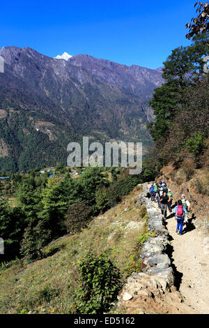 Escursionisti per adulti a Chineplung villaggio sul campo base Everest trek, Parco Nazionale di Sagarmatha, Solukhumbu quartiere, Khumbu Foto Stock