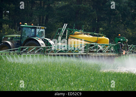 Coltivazione di grano spruzzati con pesticidi, Tunstall, Suffolk, Regno Unito. Foto Stock