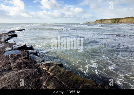 Kimmeridge Bay su Dorset la Jurassic Coast. Foto Stock