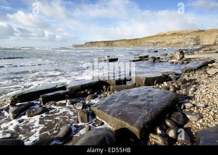 Kimmeridge Bay su Dorset la Jurassic Coast. Foto Stock