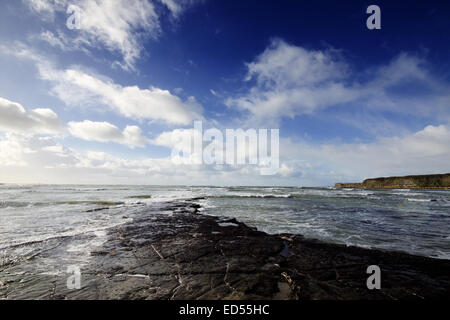 Kimmeridge Bay su Dorset la Jurassic Coast. Foto Stock