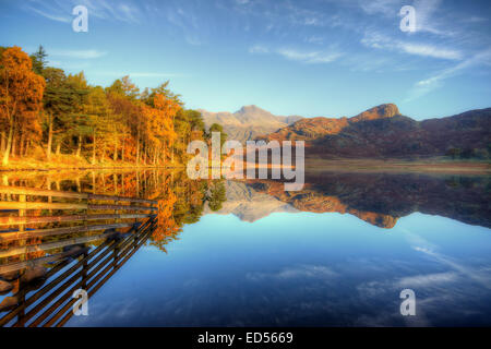 Blea Tarn in inglese il Parco Nazionale del Distretto dei Laghi. Foto Stock