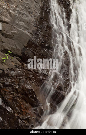 Un abstract fotografia di una cascata presso il ponte naturale di Springbrook National Park, nell'entroterra della Gold Coast, Australia Foto Stock