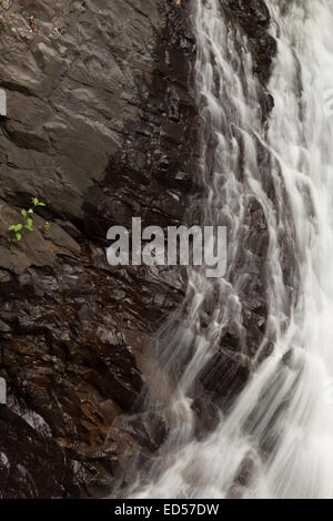 Un abstract fotografia di una cascata presso il ponte naturale di Springbrook National Park, nell'entroterra della Gold Coast, Australia Foto Stock