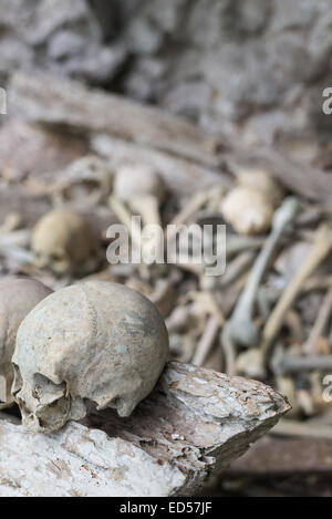 Le ossa umane e di teschi in Ketekesu (Tana Toraja, Sulawesi meridionale, Indonesia), tradizionale luogo di sepoltura con semi aperta in legno vecchio c Foto Stock