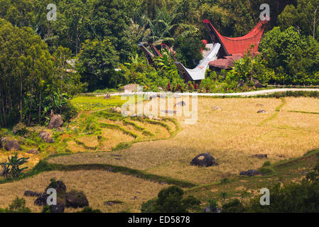 Piccolo villaggio tradizionale con tipica barca tetti sagomato in posizione idilliaca tra belle risaie a terrazze e giungla io Foto Stock