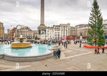 Londra Trafalgar Square con fontane e norvegese di albero di Natale Foto Stock