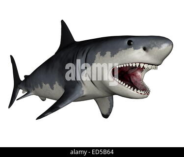 Dinosauro Megalodon in sfondo bianco- 3D render Foto Stock