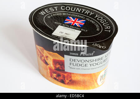 Pentola di Tesco Finest Devonshire style fudge yogurt con isolati su sfondo bianco Foto Stock