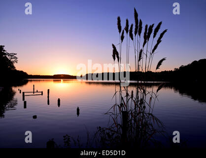 Tramonto al Whispering Pines lago, North Carolina conosciuto anche come lago thagards Foto Stock