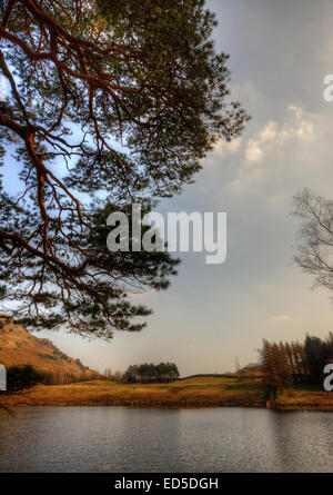 Blea Tarn nel Parco Nazionale del Distretto dei Laghi, Cumbria. Foto Stock