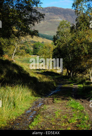 Le incredibili e stupefacenti vedute del Glen Lyon in Loch Lomond e il Trossachs National Park, Scozia. Foto Stock