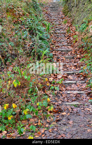 Giardino ripidi passaggi con una coperta di foglie di autunno che li copre. Foto Stock