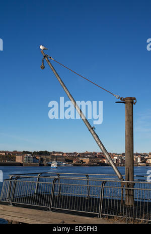 Un gabbiano si siede sul braccio di una gru vecchio sul fiume Tyne a South Shields, North East England Regno Unito Foto Stock