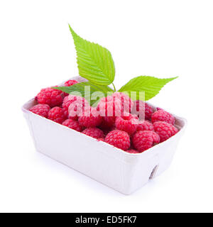 Lamponi freschi in una carta cestella isolato su bianco Foto Stock