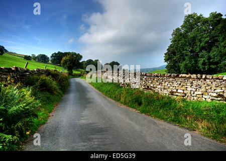 Un paese leader di terra da Crackpot giù attraverso Swaledale nel Yorkshire Dales National Park, North Yorkshire. Swaledale può Foto Stock