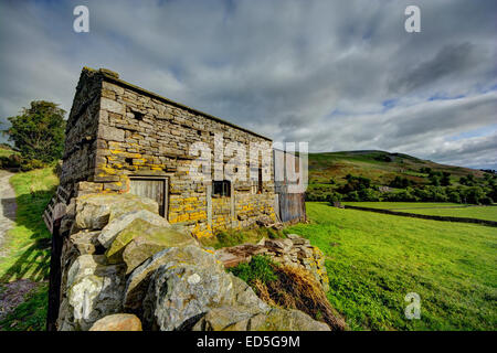 A seguito del The Pennine Way a piedi da Muker di Keld questo è uno dei molti molti granai che passano lungo la strada. Questo è in Swa Foto Stock