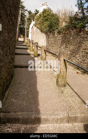 Vicolo con lunghi passi nella città di Cork Foto Stock