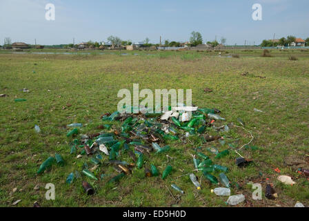 Rifiuti Rifiuti di bottiglie di vetro nei pressi del villaggio di Caraoman, il delta del Danubio, Romania, Europa Foto Stock