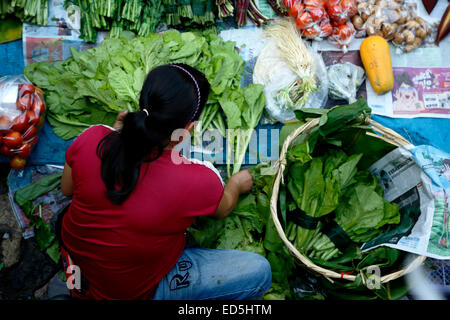 Donna vendita di verdura, mercato Warorot, Chiang Mai, Thailandia Foto Stock