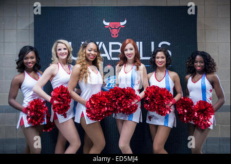 Chicago, Stati Uniti d'America. Il 27 dicembre 2014. New Orleans pellicani riprodurre il Chicago Bulls presso la United Center. Punteggio finale, pellicani 100, tori 107. Nella foto: tori' cheerleaders, Il Luvabulls, accolgono i visitatori prima che il gioco. Credito: Stephen Chung/Alamy Live News Foto Stock