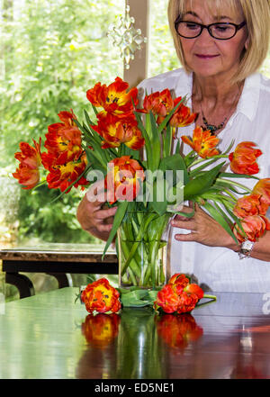 Adulta e matura donna caucasica disponendo un vaso di fiori o di tulipani in una luminosa casa con windows. Foto Stock