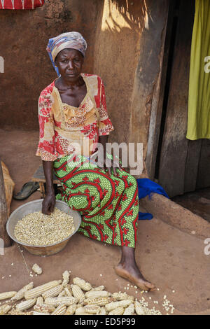 Donna rimuovendo il mais dalla pannocchia fuori la sua capanna di fango, Gambaga, Ghana Foto Stock
