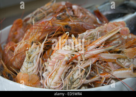 Tipiche e tradizionali di pesce del mediterraneo: scampi, gamberi e breams Foto Stock