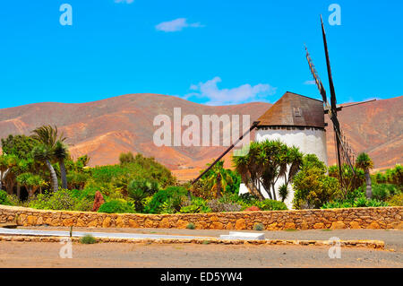 Il vecchio mulino a vento a Antigua, Fuerteventura, Isole Canarie, Spagna Foto Stock